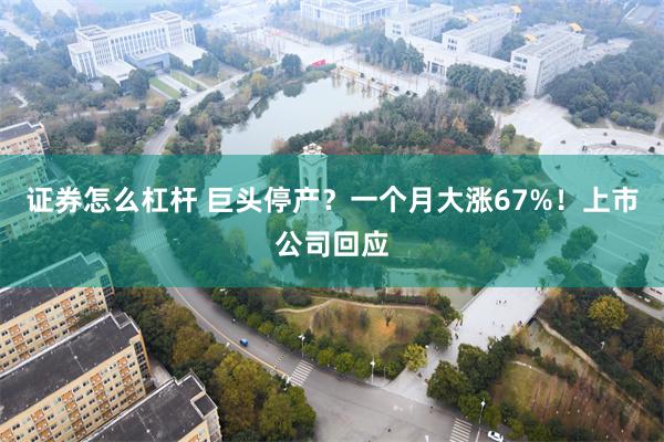 证券怎么杠杆 巨头停产？一个月大涨67%！上市公司回应