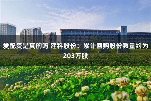 爱配资是真的吗 建科股份：累计回购股份数量约为203万股