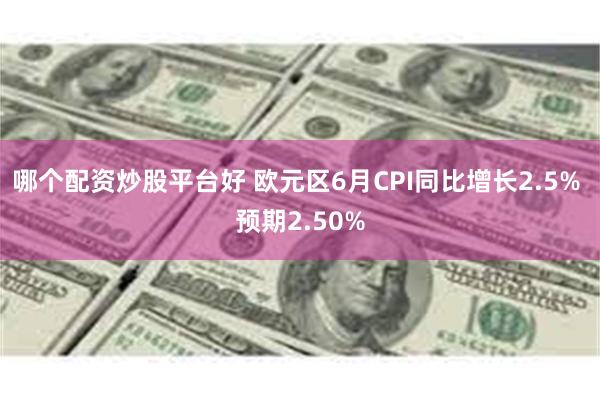 哪个配资炒股平台好 欧元区6月CPI同比增长2.5% 预期2.50%