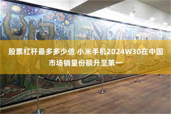 股票杠杆最多多少倍 小米手机2024W30在中国市场销量份额升至第一