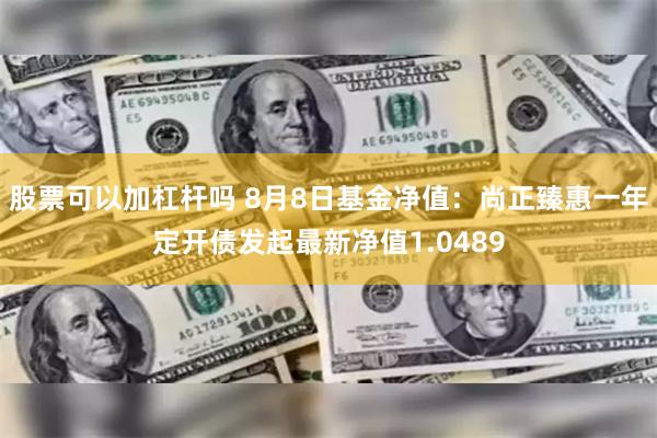 股票可以加杠杆吗 8月8日基金净值：尚正臻惠一年定开债发起最新净值1.0489