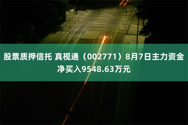 股票质押信托 真视通（002771）8月7日主力资金净买入9548.63万元