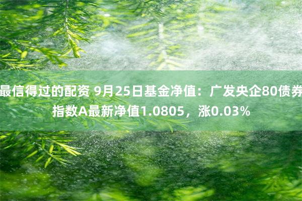 最信得过的配资 9月25日基金净值：广发央企80债券指数A最新净值1.0805，涨0.03%