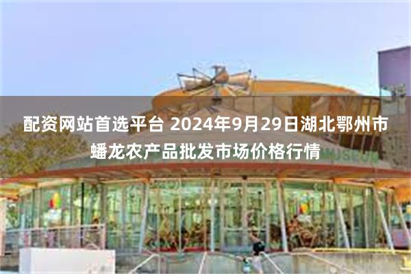 配资网站首选平台 2024年9月29日湖北鄂州市蟠龙农产品批发市场价格行情