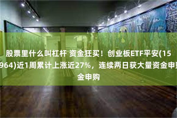 股票里什么叫杠杆 资金狂买！创业板ETF平安(159964)近1周累计上涨近27%，连续两日获大量资金申购