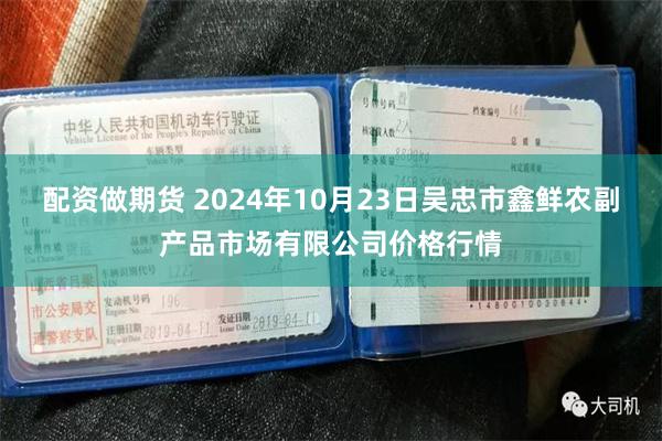 配资做期货 2024年10月23日吴忠市鑫鲜农副产品市场有限公司价格行情