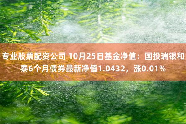 专业股票配资公司 10月25日基金净值：国投瑞银和泰6个月债券最新净值1.0432，涨0.01%