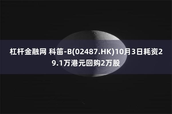 杠杆金融网 科笛-B(02487.HK)10月3日耗资29.1万港元回购2万股