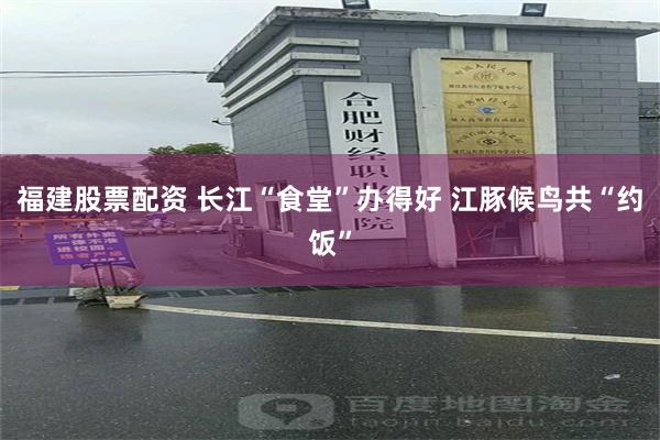 福建股票配资 长江“食堂”办得好 江豚候鸟共“约饭”