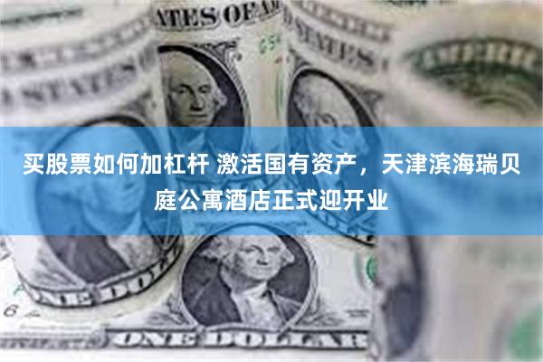 买股票如何加杠杆 激活国有资产，天津滨海瑞贝庭公寓酒店正式迎开业