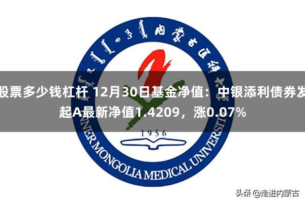 股票多少钱杠杆 12月30日基金净值：中银添利债券发起A最新净值1.4209，涨0.07%