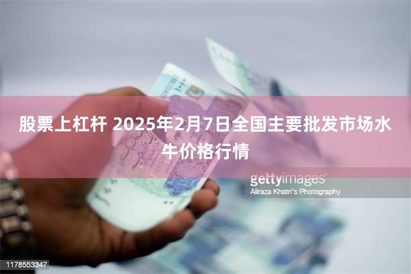 股票上杠杆 2025年2月7日全国主要批发市场水牛价格行情