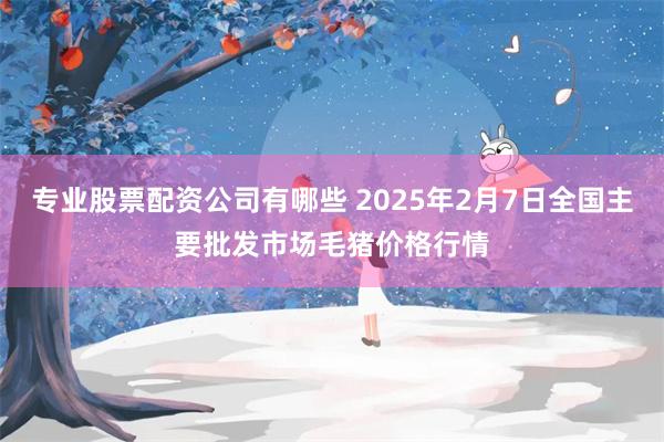 专业股票配资公司有哪些 2025年2月7日全国主要批发市场毛猪价格行情