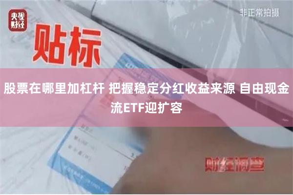 股票在哪里加杠杆 把握稳定分红收益来源 自由现金流ETF迎扩容